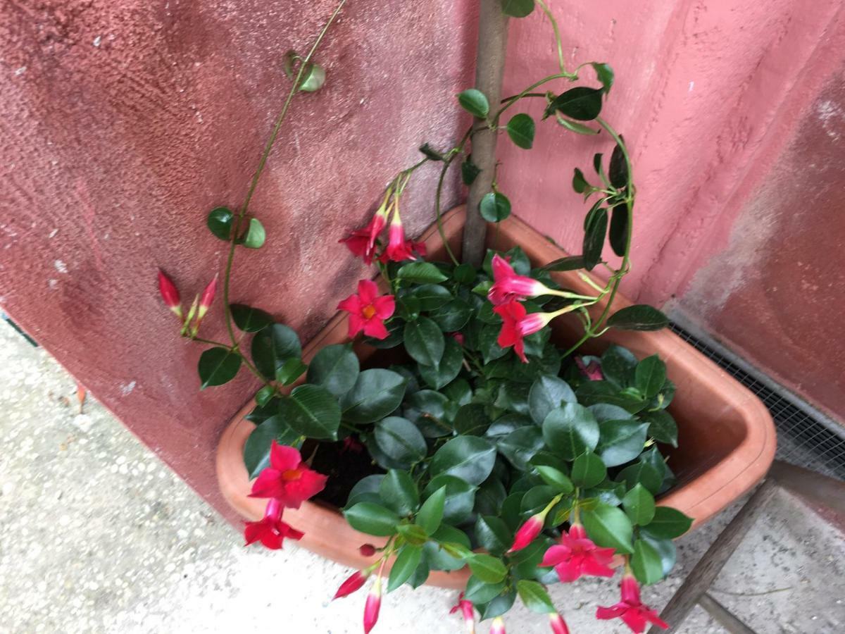 Appia Park Apartament 10 Min Dal Colosseo Rzym Zewnętrze zdjęcie
